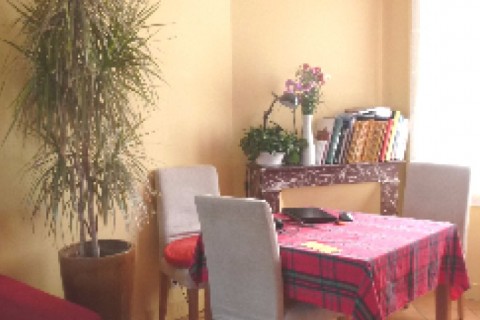 Paris à 5mn - Maison avec jardin calme 5mn du métro, pour 9 personnes max. / Suis intéressée par toutes destinations - vacances scolaires - nous sommes 3 mais voyageons avec des amis ou famille proche — photo 10