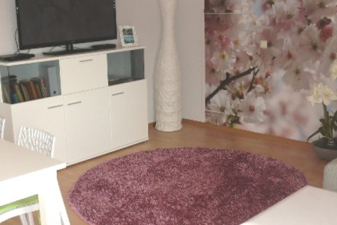 Bayern/Rottal: 60 qm Wohnung im Zentrum/Balkon/Golfplatz & Thermalbad in der Nähe — photo 3