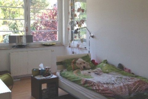 Modernes Haus in Seenähe inmmitten der Großstadt — photo 4