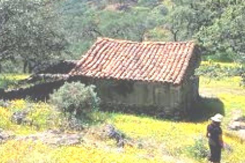 Casa en Aracena, en el  Parque Natural Sierra de Aracena y Picos de Aroche — photo 35