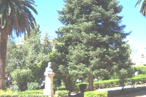 Casa en Aracena, en el  Parque Natural Sierra de Aracena y Picos de Aroche — photo 65
