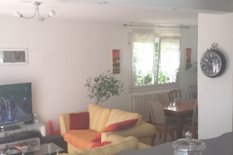 maison avec jolie jardin beau standing proche jura et alsace 2h de paris en tgv — photo 7