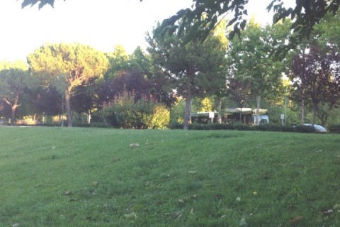 Apartamento de 3 dormitorios con piscina en Madrid — photo 7