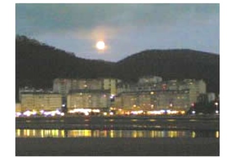 Piso en primera línea de ría de V... — photo 17