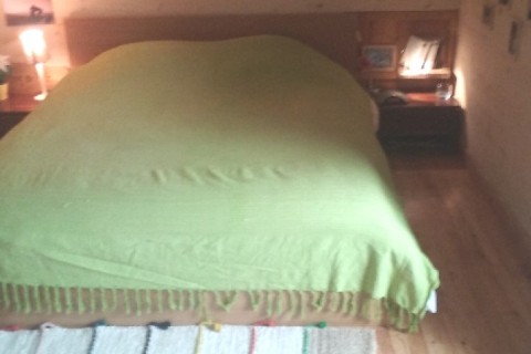 Lumière et nature dans un chalet douillet — photo 7