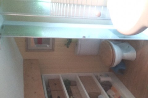Lumière et nature dans un chalet douillet — photo 9