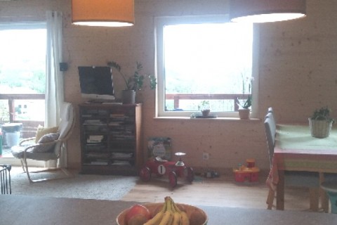 Lumière et nature dans un chalet douillet — photo 5