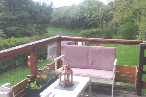 Lumière et nature dans un chalet douillet — photo 13