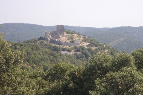 Villa dans les Cévennes — photo 8