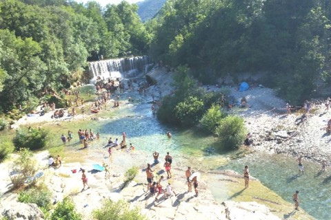 Villa dans les Cévennes — photo 10
